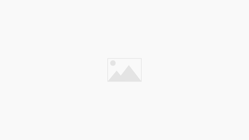 Wedding Photographers in Alabama